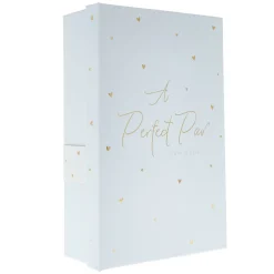 Card Factory A Perfect Pair Twin Champagne Flutes Gift Set