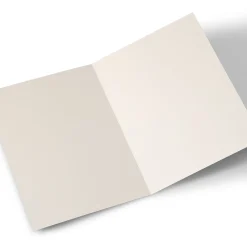 Discount A4 Photo Valentine's Day Card - For An Amazing Fiance Photo