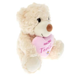 Card Factory Amazing Teacher Bear Soft Toy