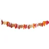 Card Factory Autumnal Leaf Card Garland 2m