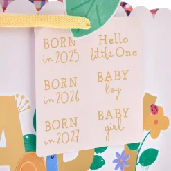 Card Factory Baby Large Landscape Gift Bag With Stickers