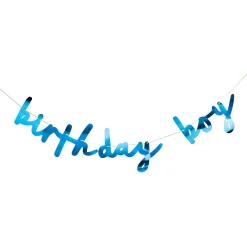 Blue Birthday Boy Card Banner Banners & Bunting|Birthday Party