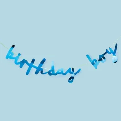 Blue Birthday Boy Card Banner Banners & Bunting|Birthday Party