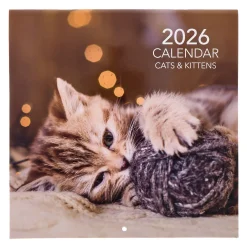 Kids Card Factory Cats & Kittens 2026 Square Wall Calendar