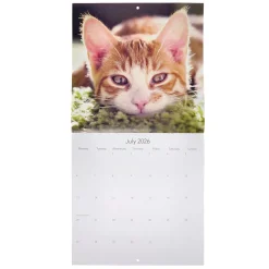 Kids Card Factory Cats & Kittens 2026 Square Wall Calendar