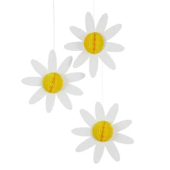 Best Daisy Honeycomb Decorations - Pack of 3 Gender Reveal Party|Baby Shower Party