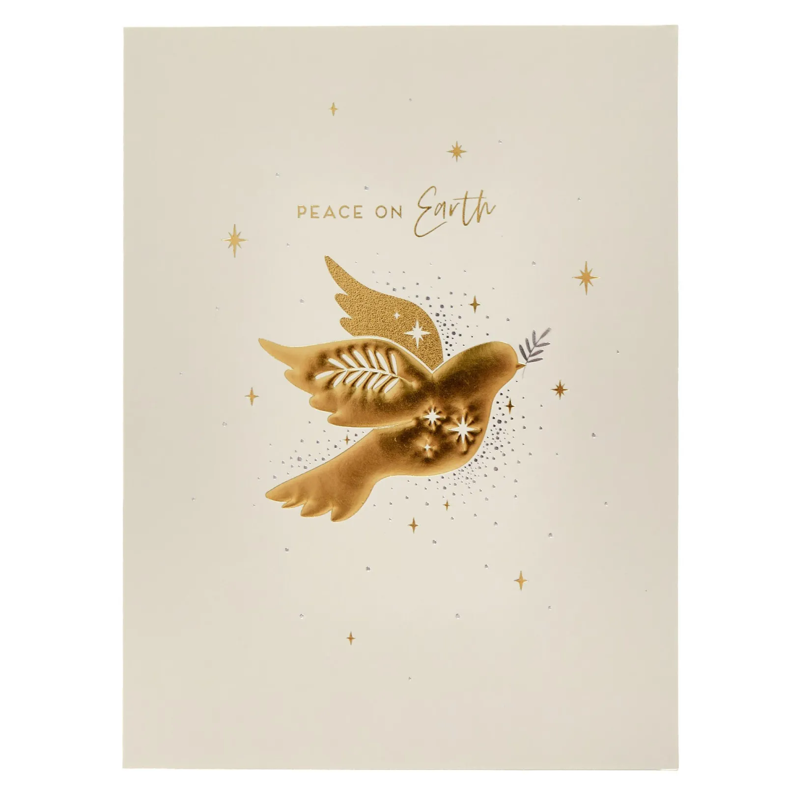 Sale Deluxe Religious Charity Christmas Cards - Pack of 10 (2 Designs) | cardfactory Christmas