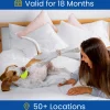 Card Factory Dog Friendly Stays Gift Experience Choice