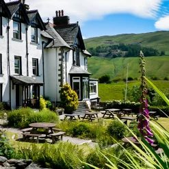 Card Factory Dog Friendly Stays Gift Experience Choice