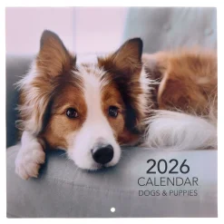 Sale Dogs & Puppies 2026 Square Wall Calendar Kids Calendars & Diaries|Birthday Gifts