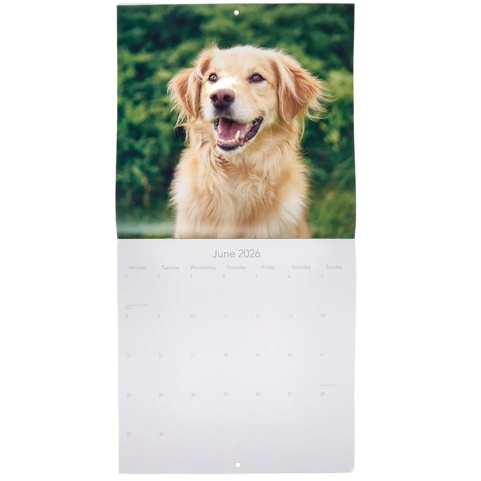 Sale Dogs & Puppies 2026 Square Wall Calendar Kids Calendars & Diaries|Birthday Gifts