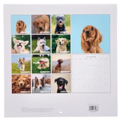 Sale Dogs & Puppies 2026 Square Wall Calendar Kids Calendars & Diaries|Birthday Gifts