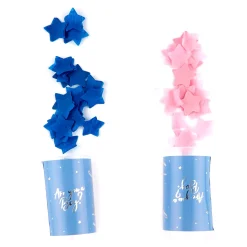 Card Factory Gender Reveal Party Bundle