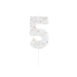 Giant Sprinkle Number Cake Candle (0-9) Cake Candles|Birthday Party