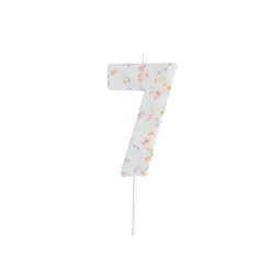 Giant Sprinkle Number Cake Candle (0-9) Cake Candles|Birthday Party