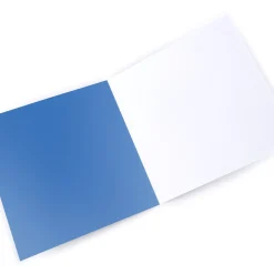 Hot Hugs Bear Photo Birthday Card - Kite Flying For Dad|Dad