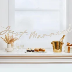 Hot Just Married Wooden Banner 2m Banners & Bunting|Wedding Party