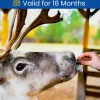 Online Overnight Stay at Reindeer Lodge Somerset Gift Experience Experience Days|Gifts For Couples