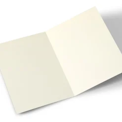 BOY Card Factory Personalised Birthday Card - Balloons, For A Lovely..., Editable Age