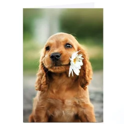 Hot Personalised Birthday Card - Puppy and flower Kids For Friend|For Friend