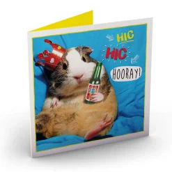Clearance Personalised Card - Guinea Pig, Hic Hic Hooray Premium Square|Birthday
