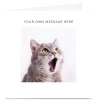 Outlet Personalised Card - Shocked Cat Premium Square|Any Occasion