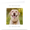 Personalised Charity Card - Labrador Kids Premium Square|Any Occasion