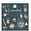 Clearance Personalised Emma Valenghi Birthday Card - Grandad For Grandad|Birthday