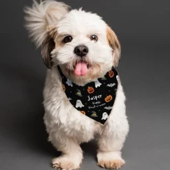 Card Factory Personalised Halloween Dog Bandana