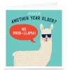 Outlet Personalised Pop! Birthday Card - No Prob-Llama Premium Square|Funny