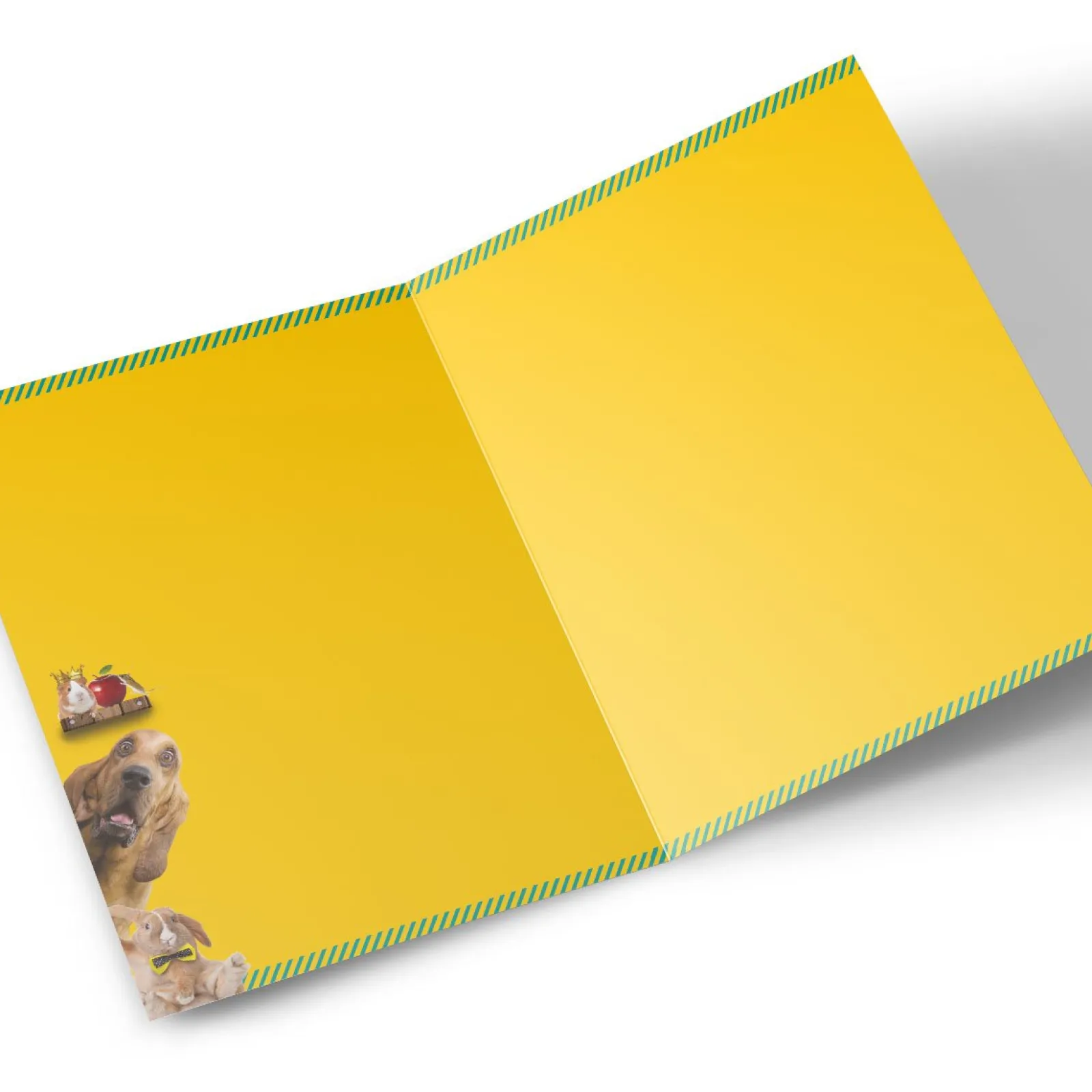 Kids Card Factory Photo Birthday Card - Brother Animals With Signs