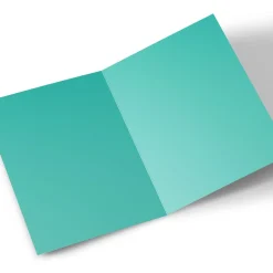 BOY Card Factory Photo Card - Green Box, Any Message