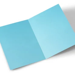 Photo Christmas Card - Cute Penguin, Sister Christmas|Photo