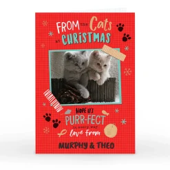 Hot Photo Christmas Card - From The Cats Christmas|Photo