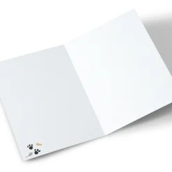 Hot Photo Christmas Card - From The Cats Christmas|Photo