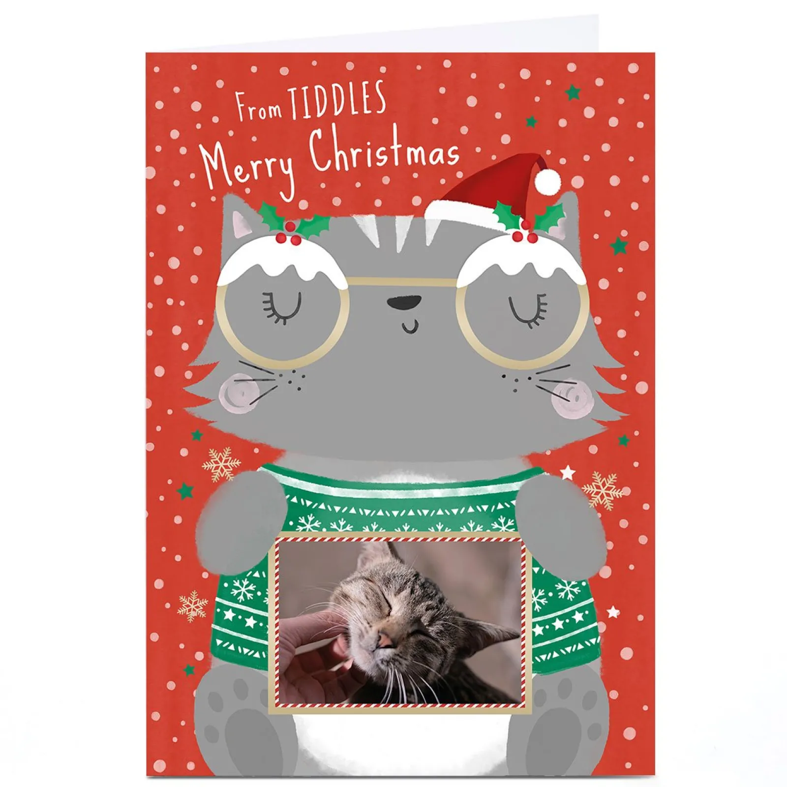 Outlet Photo Christmas Card - From The Cat Cartoon Christmas|Photo
