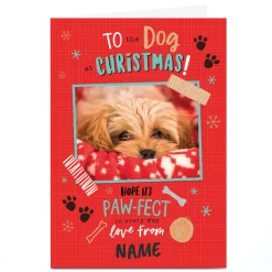 Discount Photo Christmas Card - To the Dog at Christmas Christmas|Photo