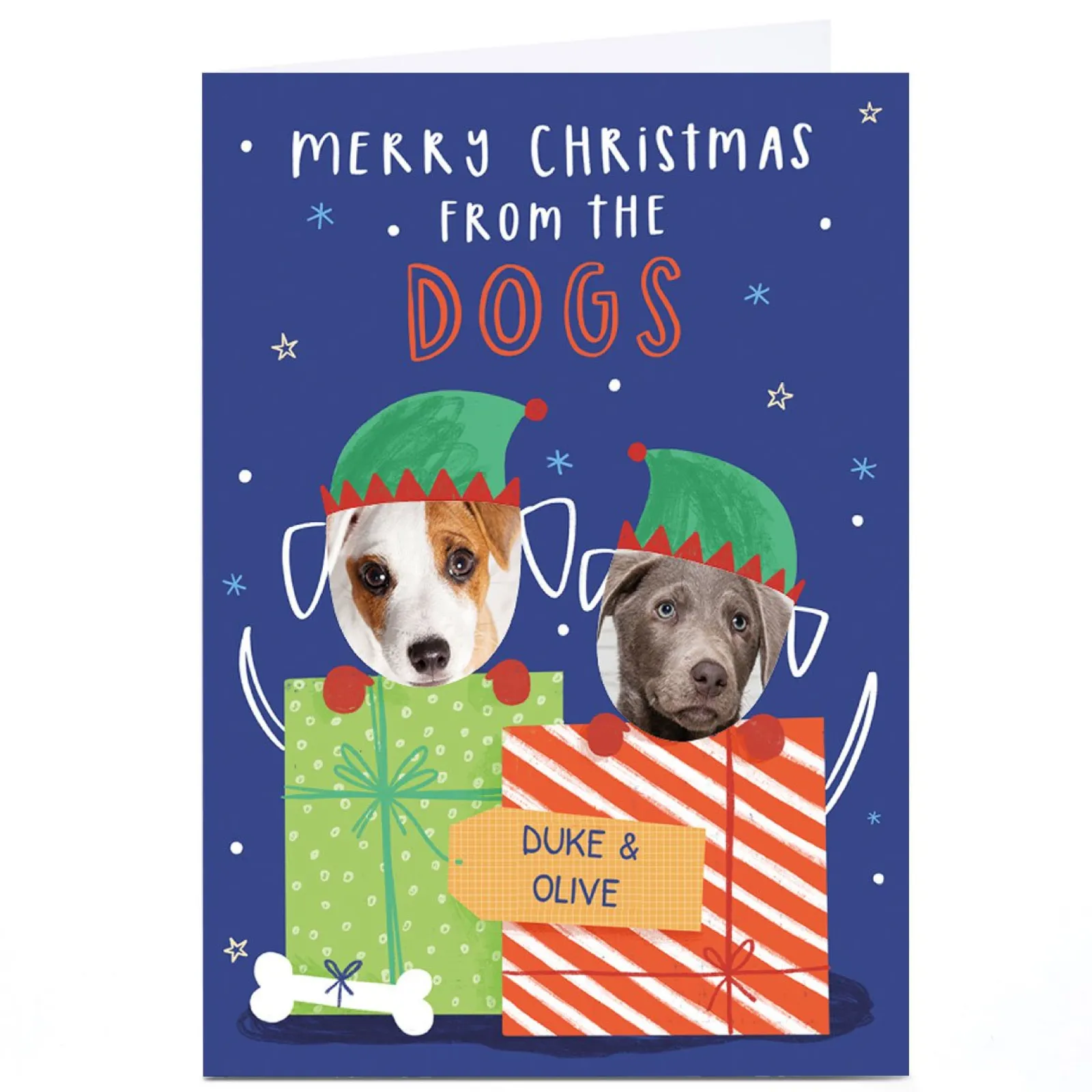 Best Photo Jess Moorhouse Christmas Card - Merry Christmas From The Dogs Christmas|Photo