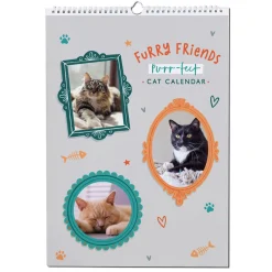 Card Factory Photo Upload Cats Calendar