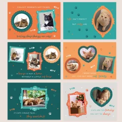 Card Factory Photo Upload Cats Calendar