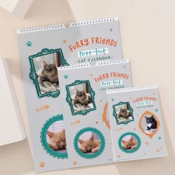 Card Factory Photo Upload Cats Calendar