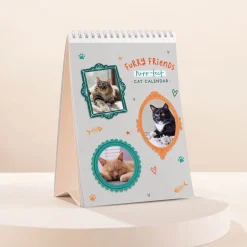 Card Factory Photo Upload Cats Calendar