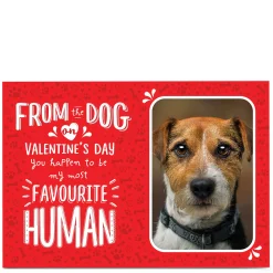 Card Factory Photo Valentine's Day Card - From The Dog