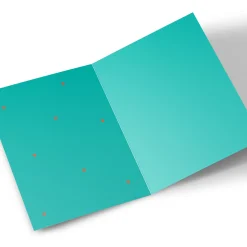 Sale Photo Valentine's Day Card - From Your Cat Photo