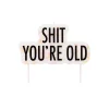 Card Factory Shit You're Old Cake Candle