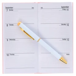 Card Factory Slim Bees 2026 Boxed Diary With Pen