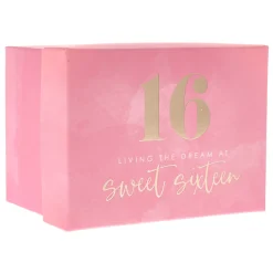 Best Sweet 16 Living The Dream Mug In A Box 16Th Birthday|Mugs