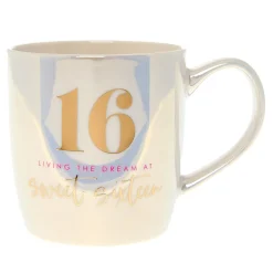 Best Sweet 16 Living The Dream Mug In A Box 16Th Birthday|Mugs