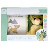 Card Factory The Lion King Simba Plush & Milestone Cards