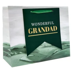 Card Factory Wonderful Grandad Large Landscape Gift Bag